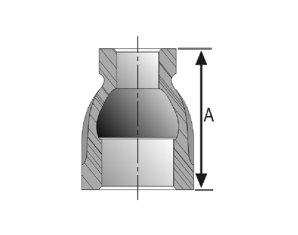 A293083212 - Image 2