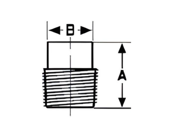 A3050048 - Image 2